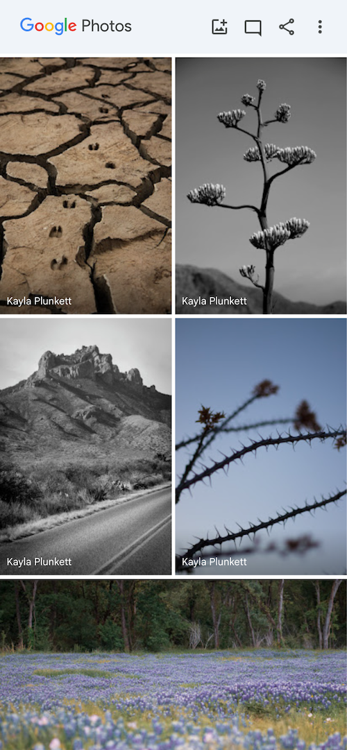 photography placeholder image